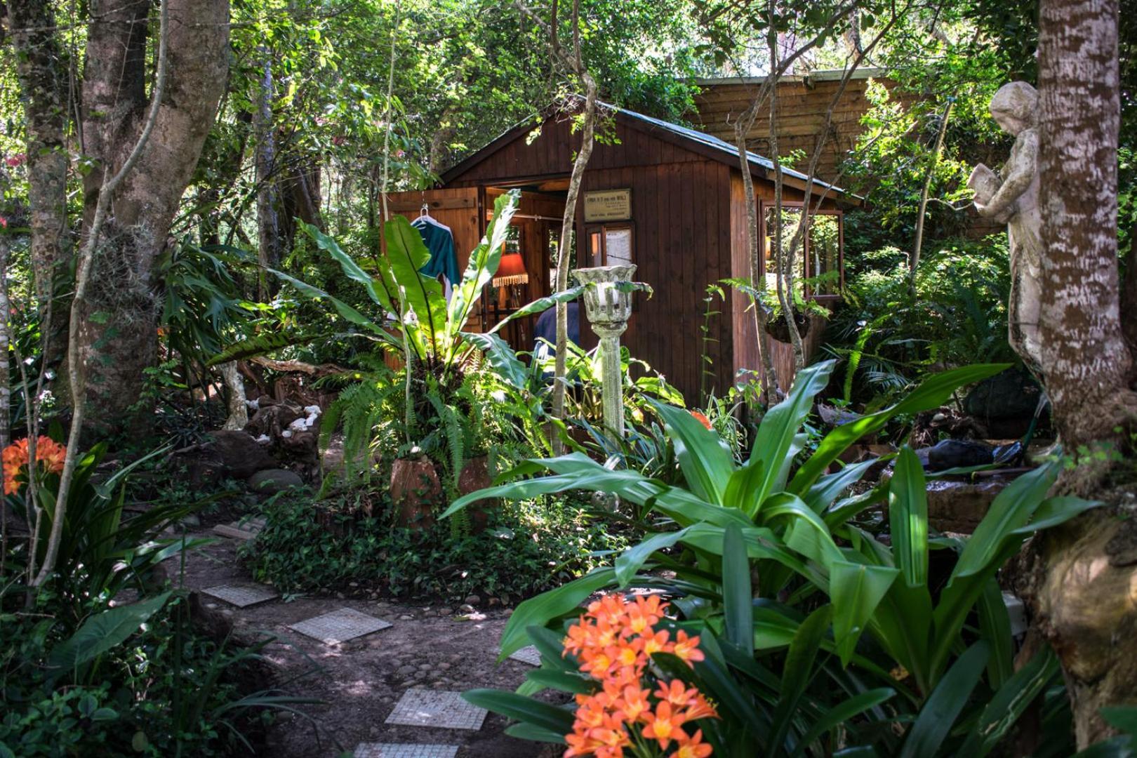 Nature'S Valley Health Retreat A Hide Away In The Forest المظهر الخارجي الصورة