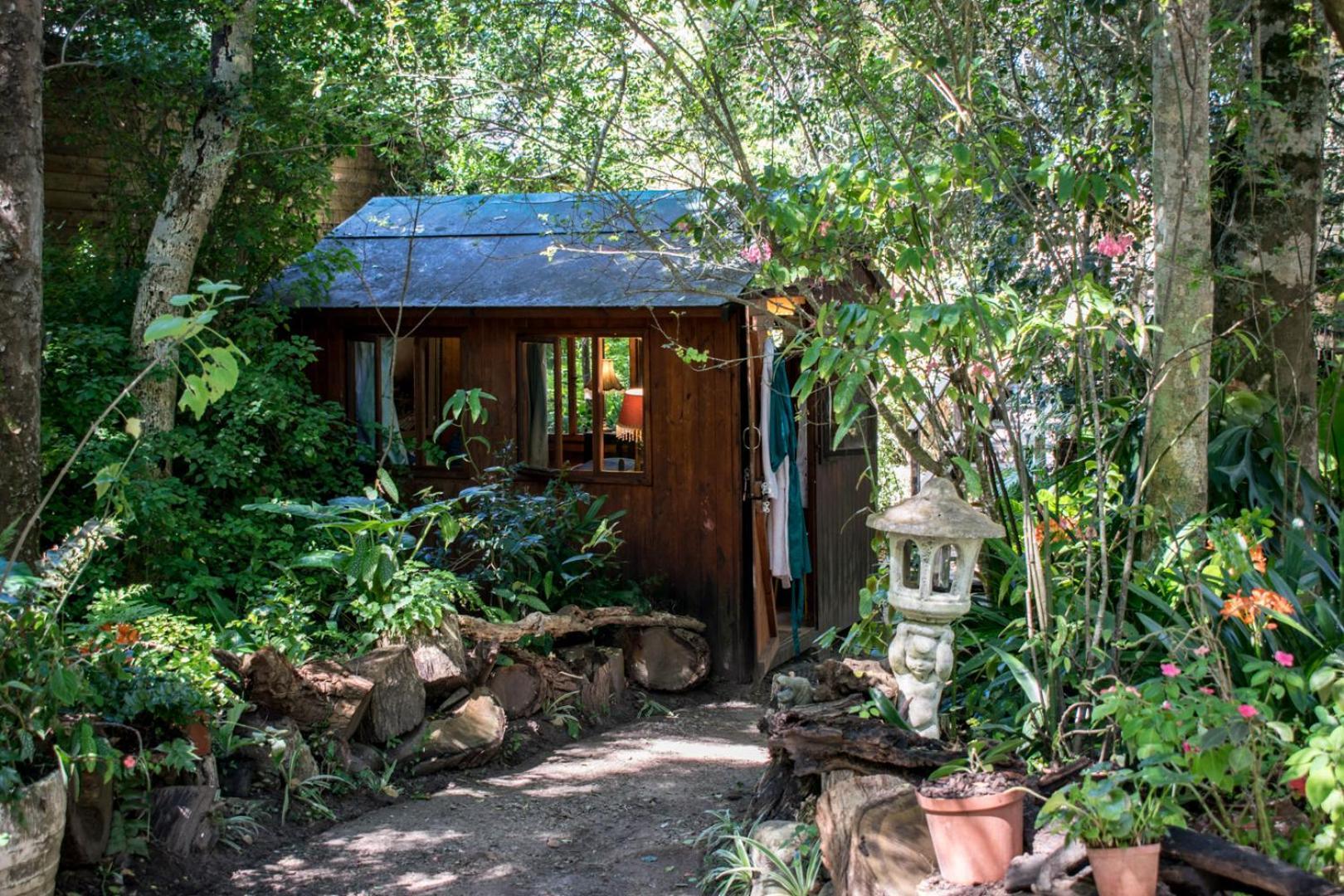 Nature'S Valley Health Retreat A Hide Away In The Forest المظهر الخارجي الصورة