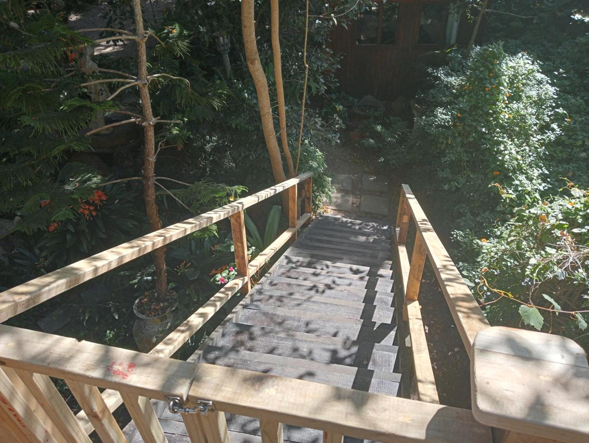 Nature'S Valley Health Retreat A Hide Away In The Forest المظهر الخارجي الصورة