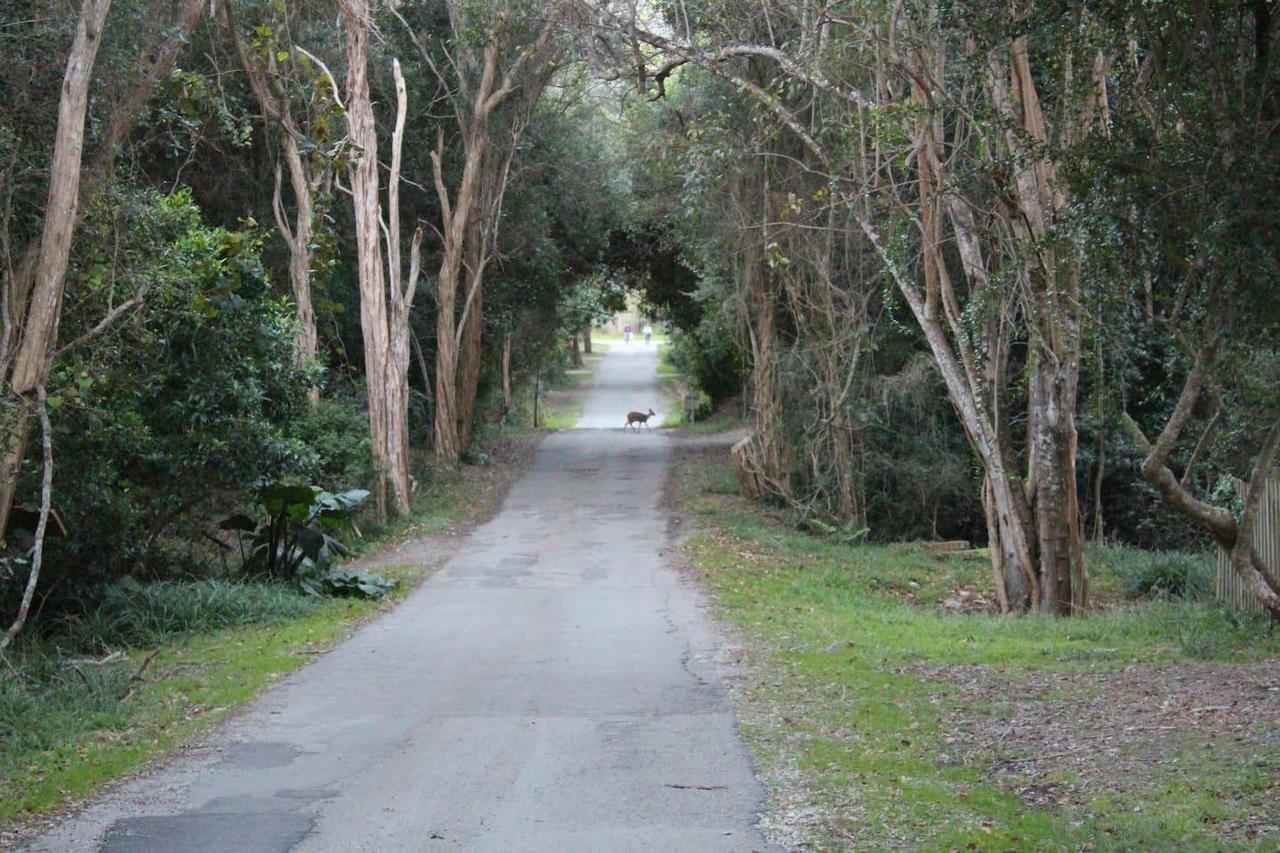 Nature'S Valley Health Retreat A Hide Away In The Forest المظهر الخارجي الصورة