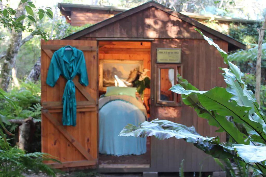 Nature'S Valley Health Retreat A Hide Away In The Forest المظهر الخارجي الصورة