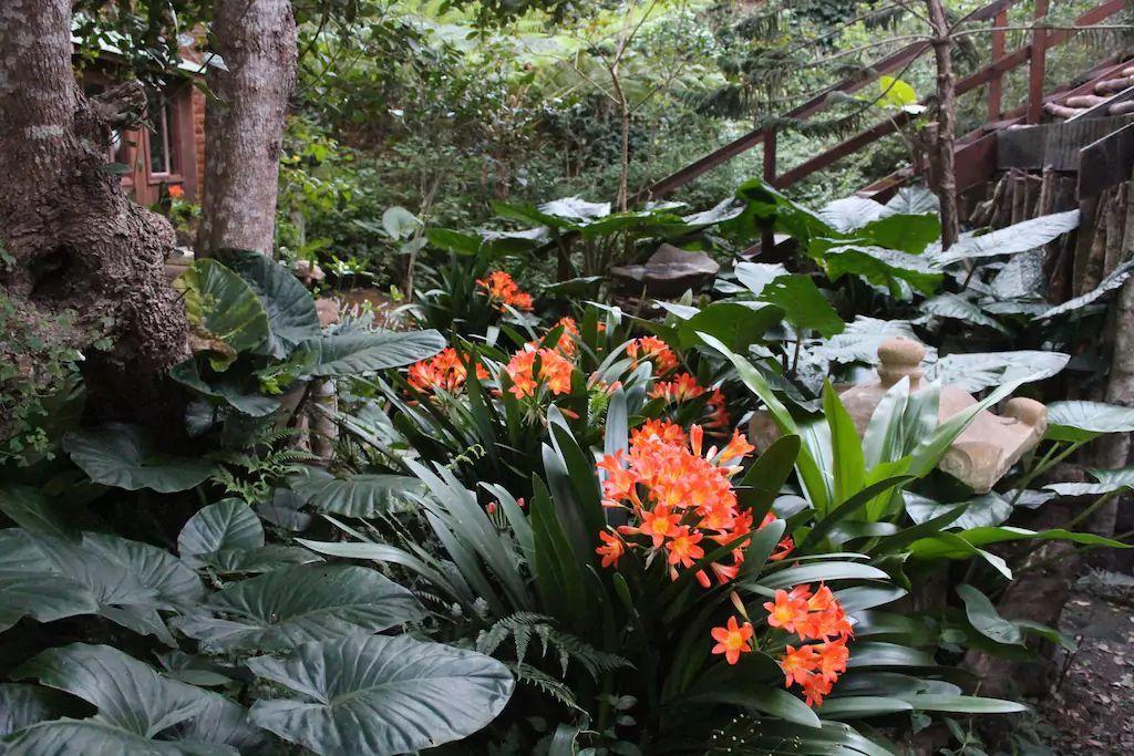 Nature'S Valley Health Retreat A Hide Away In The Forest المظهر الخارجي الصورة