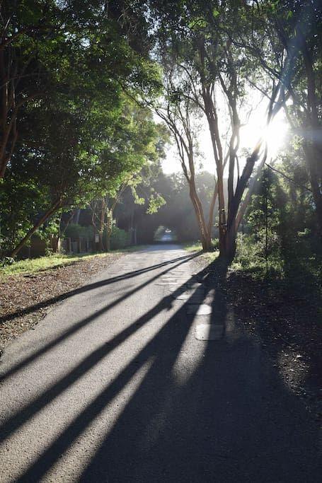 Nature'S Valley Health Retreat A Hide Away In The Forest المظهر الخارجي الصورة